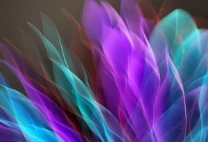 ví điện tử uy tín Nohu