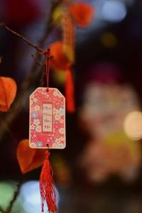 xì dách di động Sodo